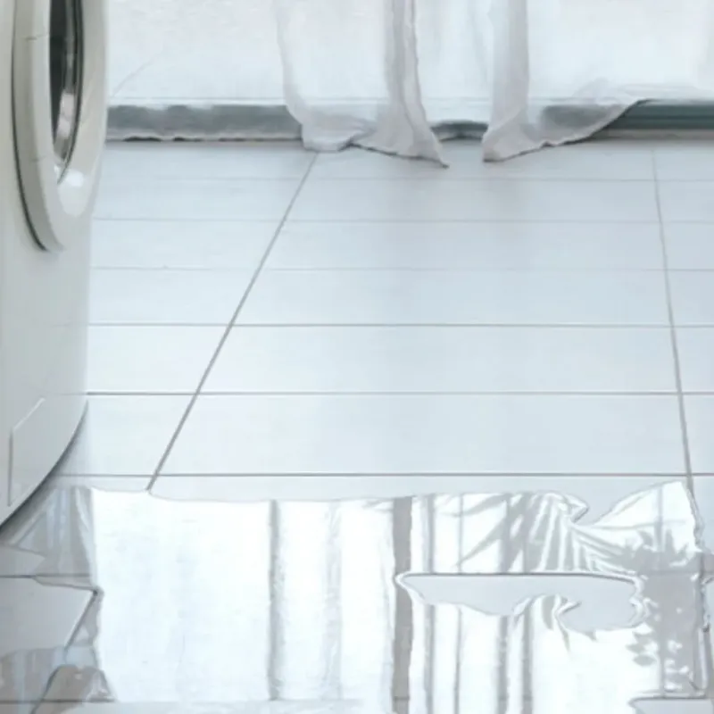 Appliance Leak Cleanup in Tyler County, TX