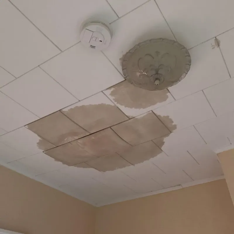 Ceiling Water Damage Repair in Tyler County, TX