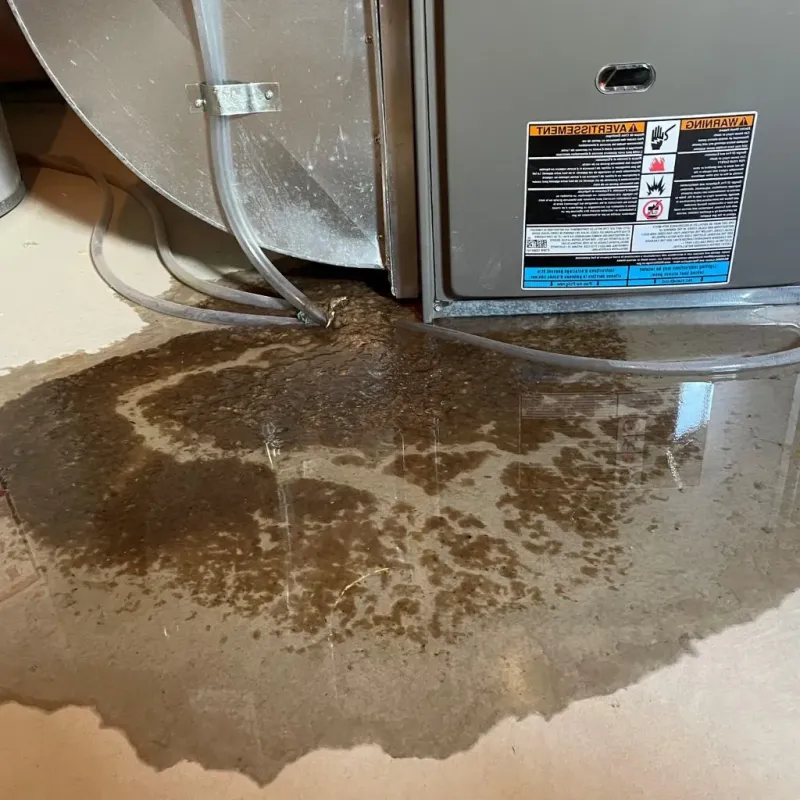Pipe Burst and Leak Restoration in Tyler County, TX