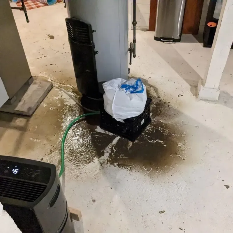 Sewage Backup Cleanup Service in Tyler County, TX